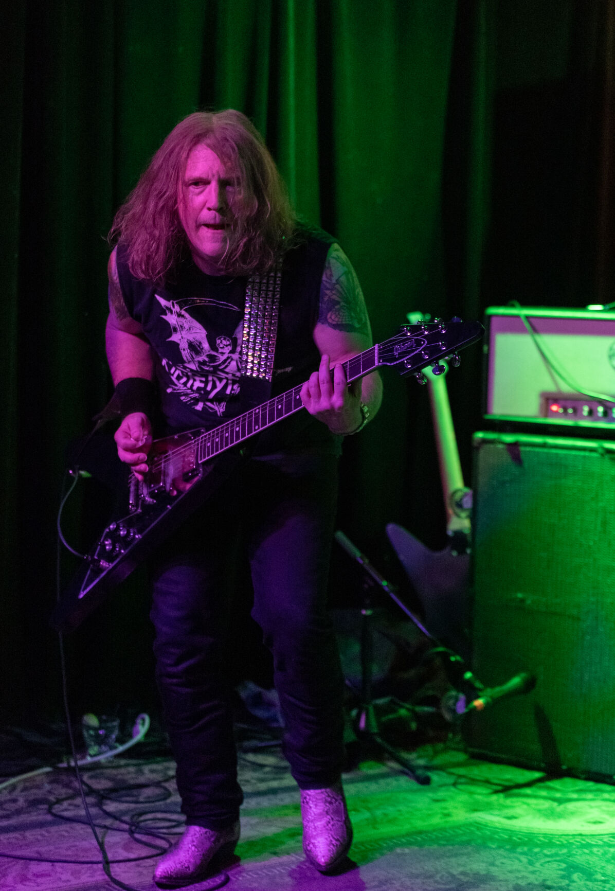 Electric Python high res-11.jpg